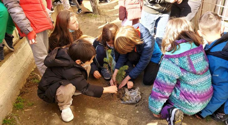 OWING TO THE “PLANT A TREE” PROJECT, FIRST-GRADERS PLANT TREES AT ALL ELEMENTARY SCHOOLS IN SERBIA TODAY